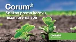Corum®