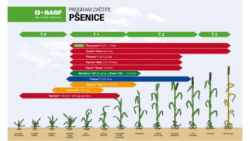 Program zaštite pšenice