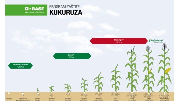 Program zaštite kukuruza