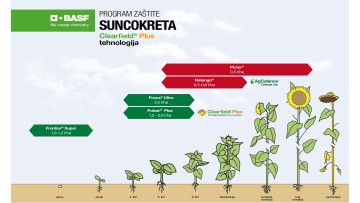 Program zaštite suncokreta Clearfield® Plus tehnologija