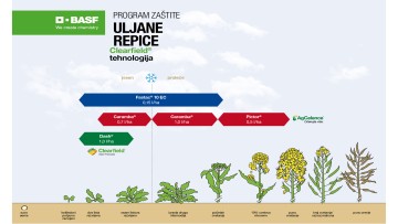Program zaštite uljane repice Clearfield® tehnologija