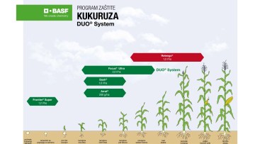 Program zaštite kukuruza DUO® System