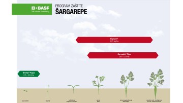 Program zaštite šargarepe