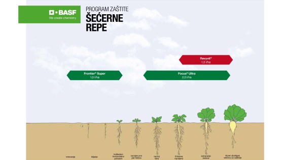 Program zaštite šećerne repe