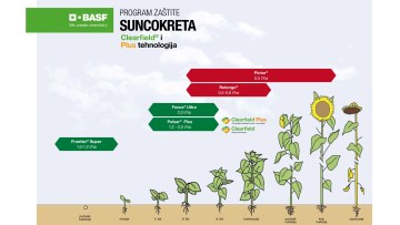 Program zaštite suncokreta Clearfield® i Clearfield® Plus tehnologija