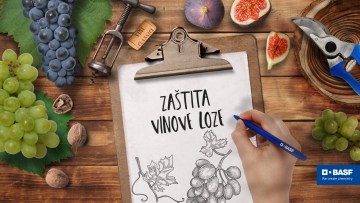Vinova loza