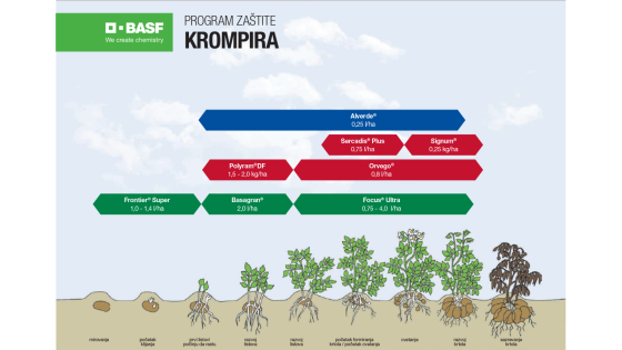 Program zaštite krompira