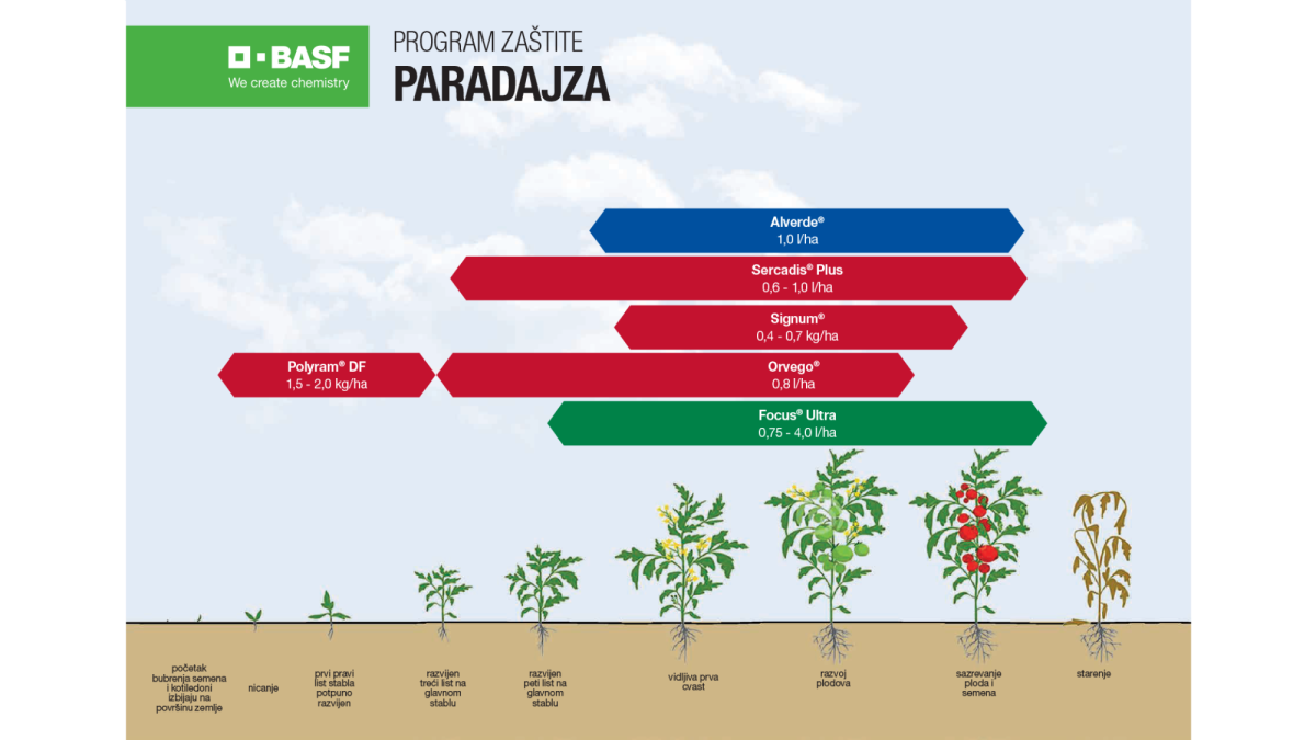 Program zaštite: Paradajz