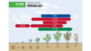 Program zaštite paradajza
