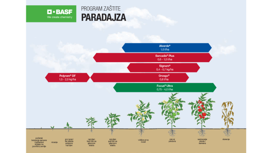 Program zaštite paradajza