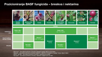 Program zaštite koštićavog voća breskva