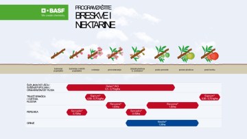 Program zaštite koštićavog voća breskva