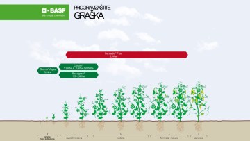 Program zaštite graška
