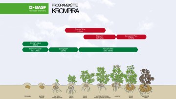 Program zaštite krompira