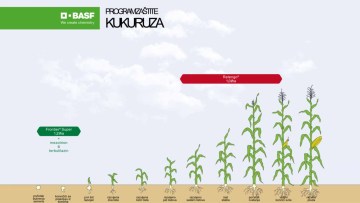 Program zaštite kukuruza