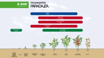 Program zaštite paradajza