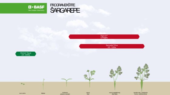 Program zaštite šargarepe