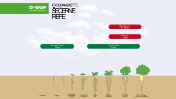 Program zaštite šećerne repe