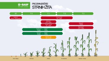 Program zaštite strnih žita