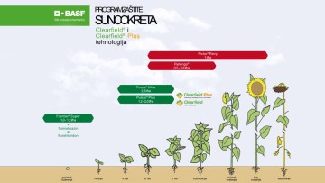 Program zaštite suncokreta Clearfield® i Clearfield® Plus tehnologija