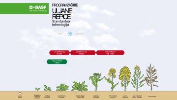 Program zaštite uljane repice standardna tehnologija