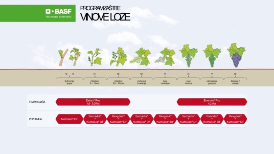 Program zaštite vinove loze