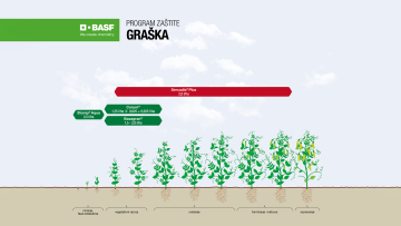 Program zaštite graška