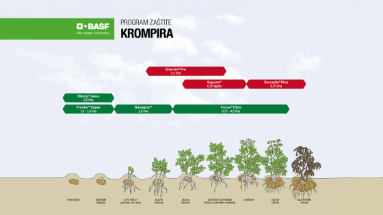 Program zaštite krompira