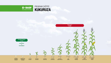 Program zaštite kukuruza