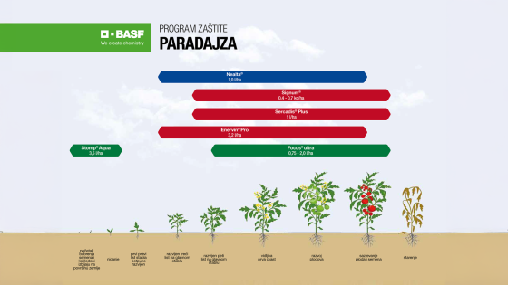 Program zaštite paradajza