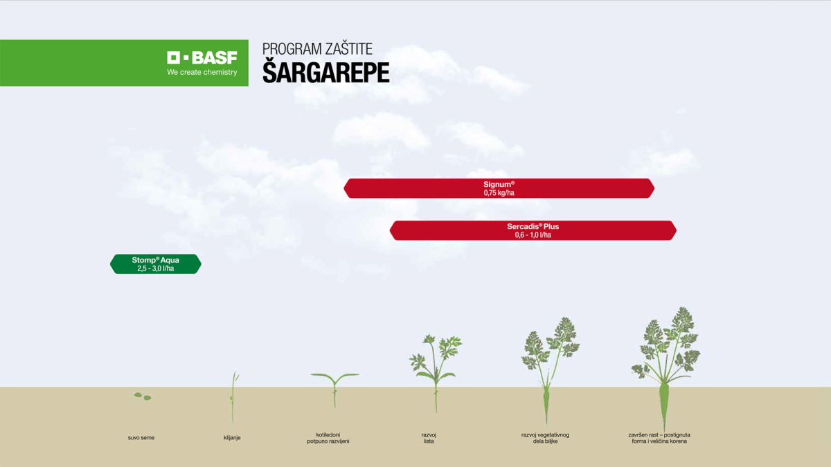 Program zaštite: Šargarepa