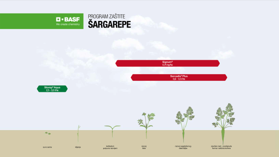 Program zaštite šargarepe