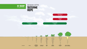Program zaštite šećerne repe