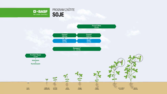 Program zaštite soje