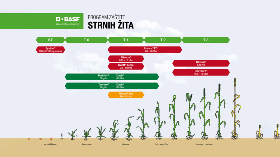Program zaštite strnih žita