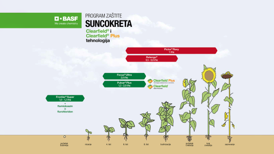 Program zaštite suncokreta Clearfield® i Clearfield® Plus tehnologija