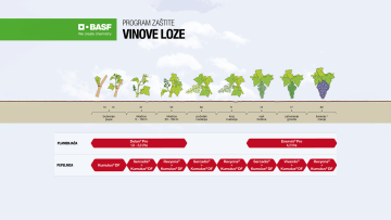 Program zaštite vinove loze
