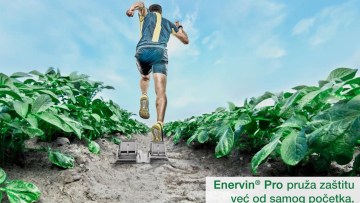 ENERVIN® PRO | Za zdrav start krompira!