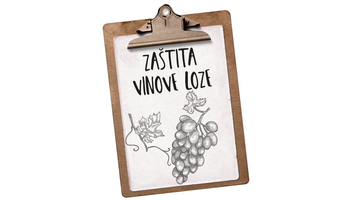 zastita vinove loze